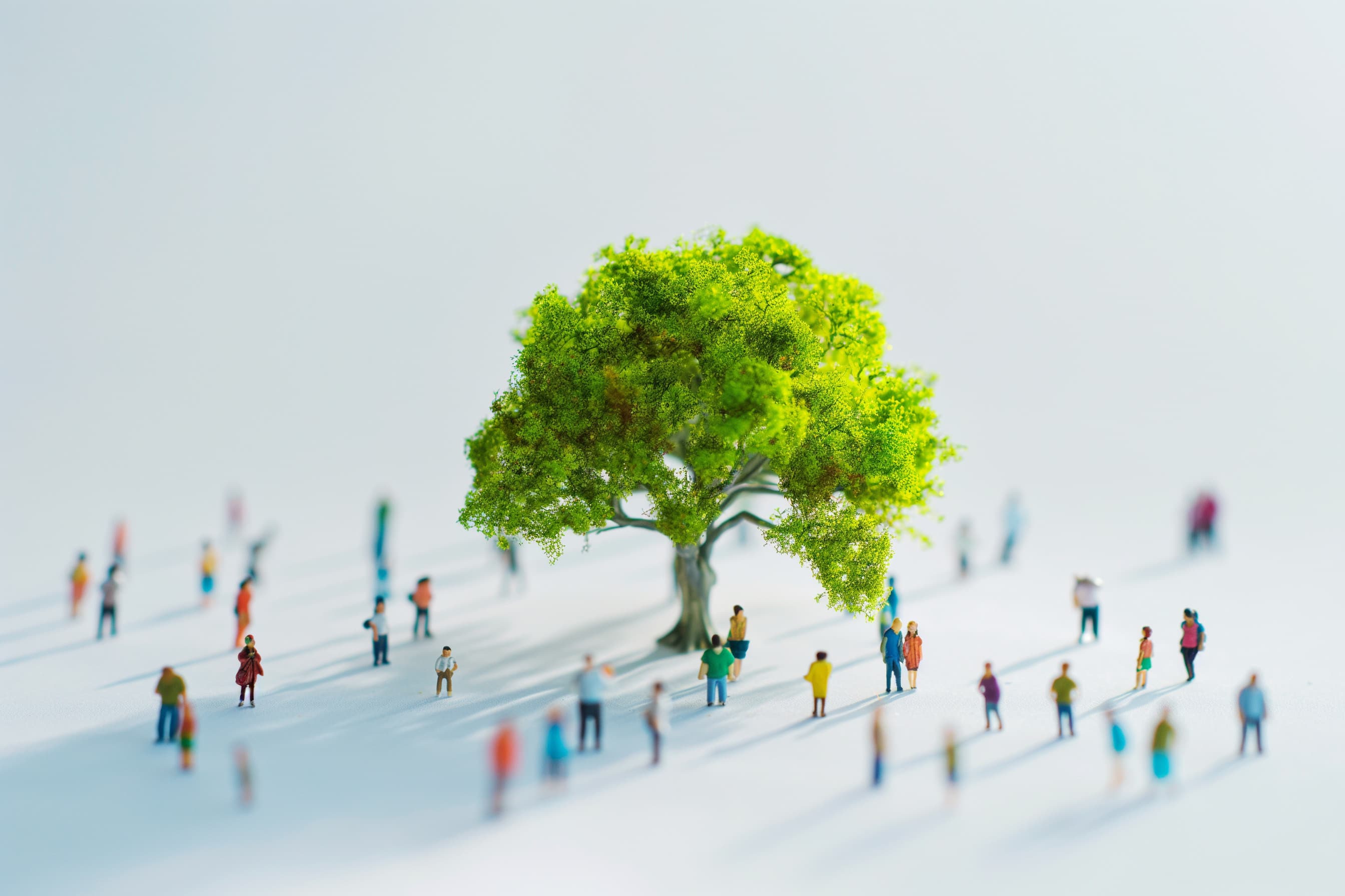 地域店舗・SDGs・地方創生への取り組み